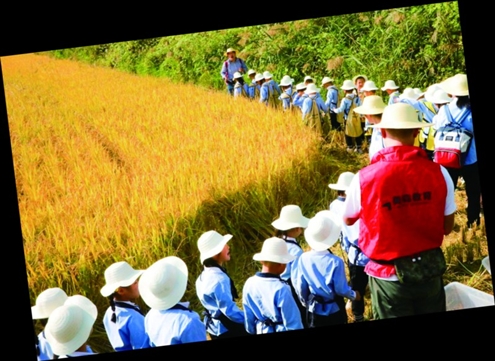 七里铺村“一粒米的世界”主题劳动教育实践活动